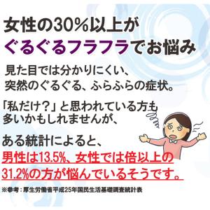 ぐるぐる・フラフラさんのハーブティー30包 イ...の詳細画像2