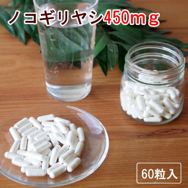 ノコギリヤシ60粒(30日分) ノコギリヤシエキス 450ｍｇ サプリメント トイレの悩み 髪 サプ...