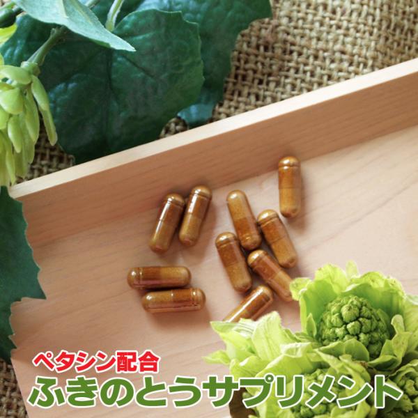 ふきのとうサプリメント90粒 ペタシン サプリメント 蕗の薹 フキノトウ 粉末 パウダー ふきのとう...