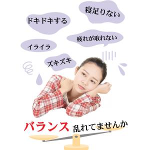 バランス整え茶30包 ハーブティー パッション...の詳細画像1