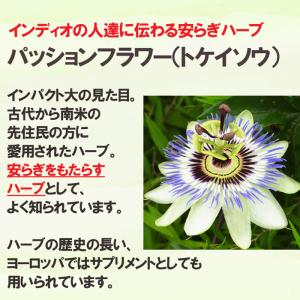 バランス整え茶30包 ハーブティー パッション...の詳細画像4