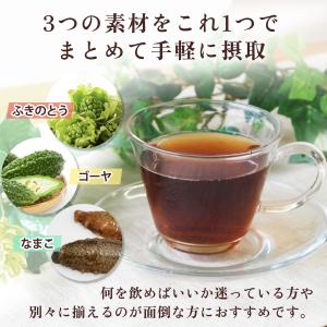 ふきのとう・ゴーヤ・なまこパウダー50g ペタ...の詳細画像2