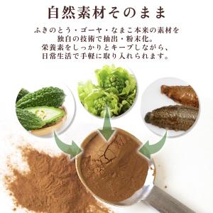 ふきのとう・ゴーヤ・なまこパウダー50g ペタ...の詳細画像4