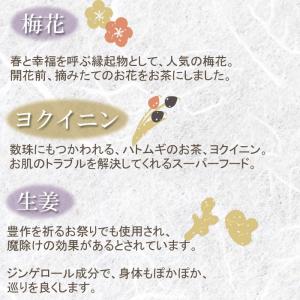厄払い茶30包 厄除け 邪気払い 魔除け 夏越...の詳細画像4