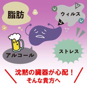 ミルクシスル 30日分(パウダー15g or ...の詳細画像1