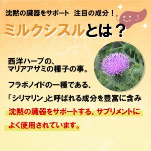 ミルクシスル 30日分(パウダー15g or ...の詳細画像2