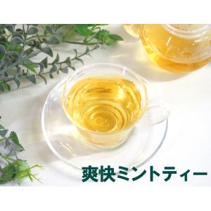 爽快ミントティー30包 ティーバッグ 水出し ...の詳細画像1