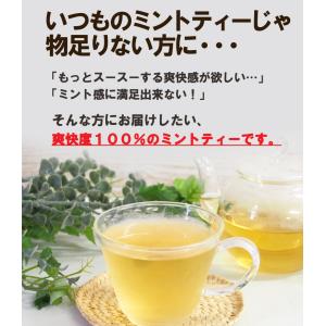 爽快ミントティー30包 ティーバッグ 水出し ...の詳細画像2