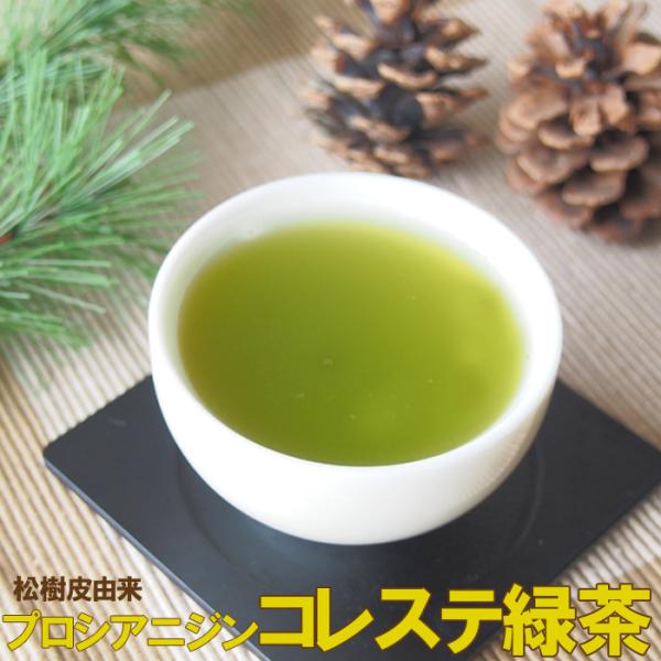 プロシアニジン コレステ緑茶60g 松樹皮由来プロシアニジン 粉末茶 パウダーティー LDL対策 健...