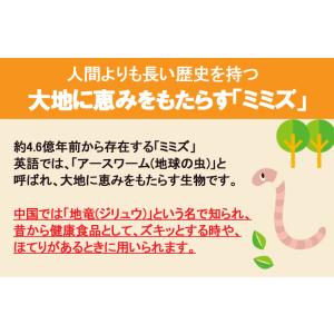ミミズサプリメント30粒 乾燥ミミズ粉末 赤ミ...の詳細画像1
