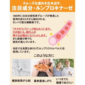 ミミズサプリメント30粒 乾燥ミミズ粉末 赤ミ...の詳細画像2