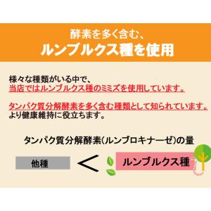 ミミズサプリメント30粒 乾燥ミミズ粉末 赤ミ...の詳細画像3