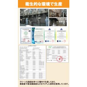 ミミズサプリメント30粒 乾燥ミミズ粉末 赤ミ...の詳細画像4