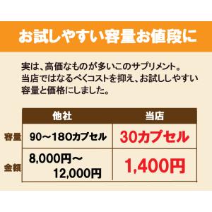 ミミズサプリメント30粒 乾燥ミミズ粉末 赤ミ...の詳細画像5
