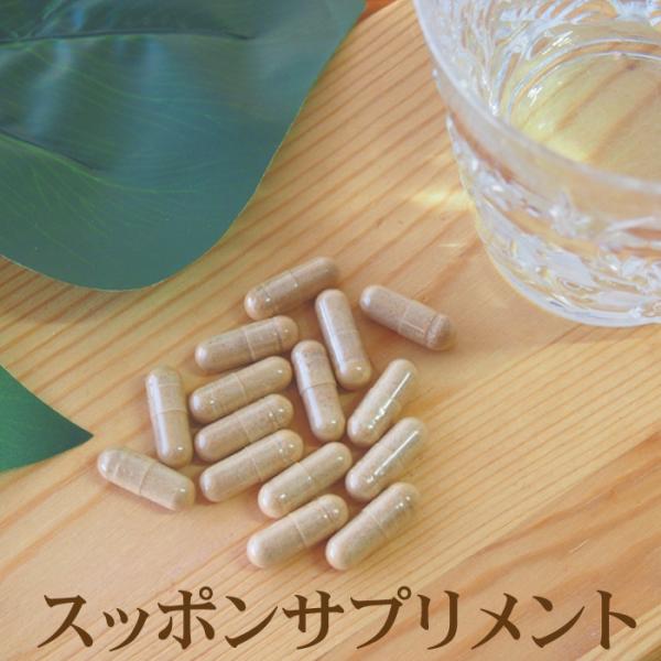 スッポンサプリメント30粒(約1ヶ月分) すっぽん すっぽんサプリ スッポン粉末 コラーゲン 美容 ...