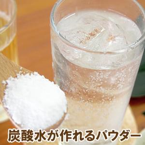 炭酸水が作れるパウダースティック30包(各15包ずつ) 炭酸水 粉末 重曹 クエン酸 パウダー 炭酸飲料が作れる ダイエット 健康飲料