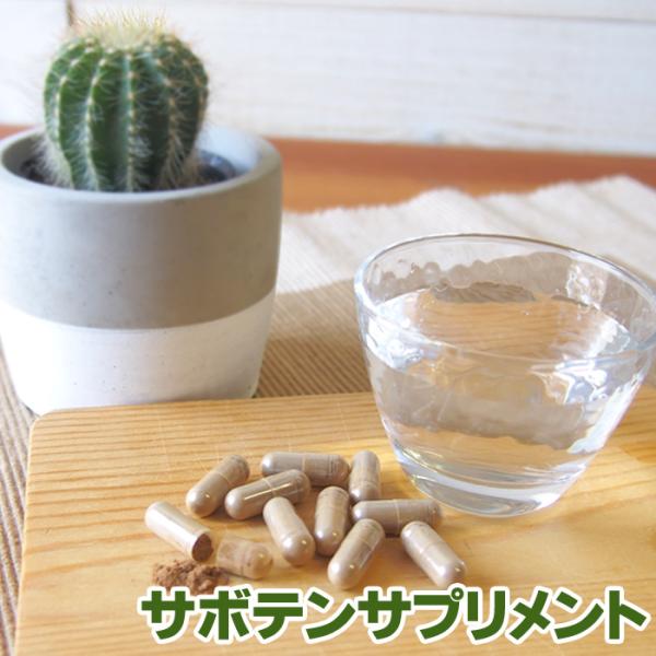 サボテンサプリメント30粒 食用 ウチワサボテン ノパール ノパル センニンサボテン カプセル アミ...