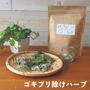 ゴキブリ除けハーブ(20回分) ゴキブリ よけ ...の商品画像