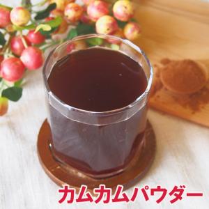 カムカムパウダー100g 粉末 美容 ダイエット ビタミン ドリンク 保存料着色料砂糖不使用 ノンシュガー フルーツジュース