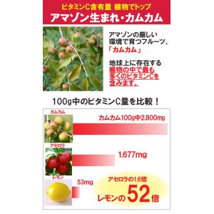 カムカムパウダー100g 粉末 美容 ダイエッ...の詳細画像1