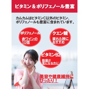 カムカムパウダー100g 粉末 美容 ダイエッ...の詳細画像2