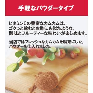 カムカムパウダー100g 粉末 美容 ダイエッ...の詳細画像3