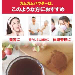 カムカムパウダー100g 粉末 美容 ダイエッ...の詳細画像4