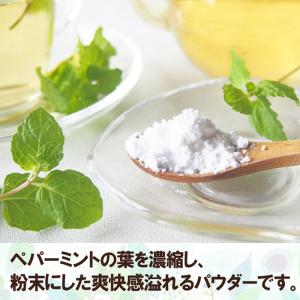 ミントパウダー50g ペパーミント メントール...の詳細画像1