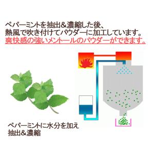 ミントパウダー50g ペパーミント メントール...の詳細画像3