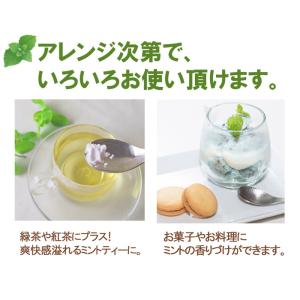 ミントパウダー50g ペパーミント メントール...の詳細画像5