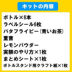 バタフライピー自由研究キット 夏休み 工作キッ...の詳細画像2