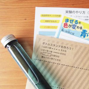 バタフライピー自由研究キット 夏休み 工作キッ...の詳細画像3