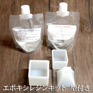 エポキシレジンキット シリコン型付き　DIY レジン　ハンドメイド