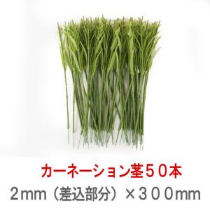 ソープフラワー 造花用 針金30cm カーネー...の詳細画像4