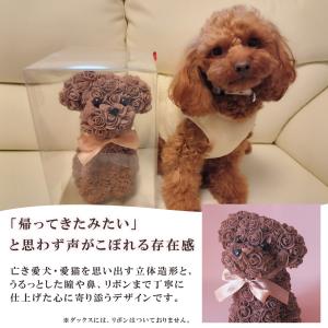 遅れてごめんね 母の日 犬 花 フラワードッグ...の詳細画像2