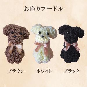 遅れてごめんね 母の日 犬 花 フラワードッグ...の詳細画像5