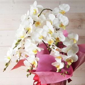 胡蝶蘭 光触媒加工 7本立ち 鉢植え 造花 1...の詳細画像1