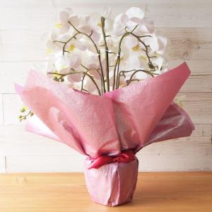 胡蝶蘭 光触媒加工 7本立ち 鉢植え 造花 1...の詳細画像2
