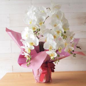 胡蝶蘭 光触媒加工 7本立ち 鉢植え 造花 1...の詳細画像3