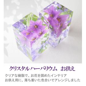 クリスタルハーバリウム お供え 1個 仏壇用 ...の詳細画像1