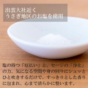 出雲お清め塩スプレー 100ml 出雲うさぎ地...の詳細画像2