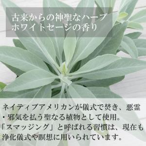 出雲お清め塩スプレー 100ml 出雲うさぎ地...の詳細画像3