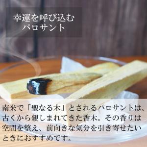 出雲お清め塩スプレー 100ml 出雲うさぎ地...の詳細画像5