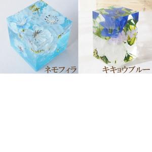 訳あり クリスタルハーバリウム1個(スタンドな...の詳細画像4