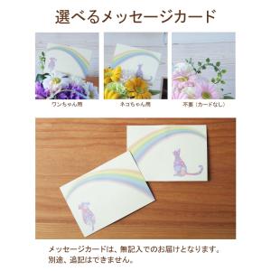 プリザーブドフラワー ペット用 お供え花 ソー...の詳細画像4