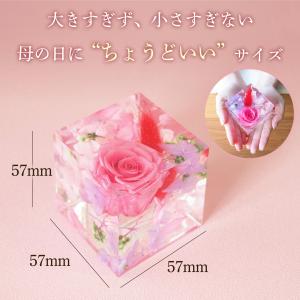 クリスタルハーバリウム スイーツ付き1個 花 ...の詳細画像4