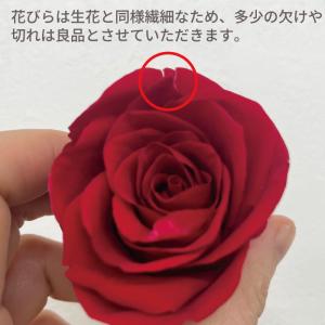 お好きな本数で選べる花束 プリザーブドフラワー...の詳細画像4