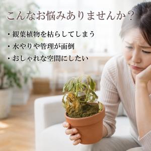 フェイクグリーン ビカクシダ コウモリラン 観...の詳細画像3
