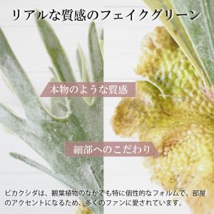 フェイクグリーン ビカクシダ コウモリラン 観...の詳細画像5