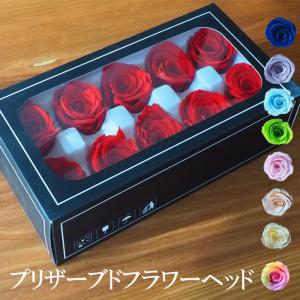 プリザーブドフラワーヘッド ローズ 8輪 4-5...の商品画像